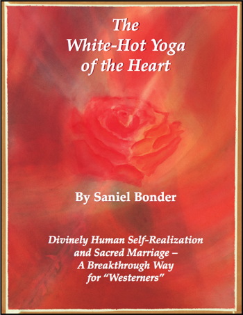 WHYH_book_cover.jpg